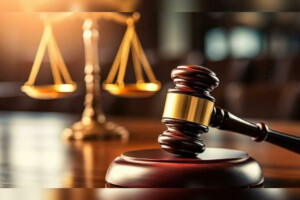 Six Months’ Jail for Killing Pet Cat