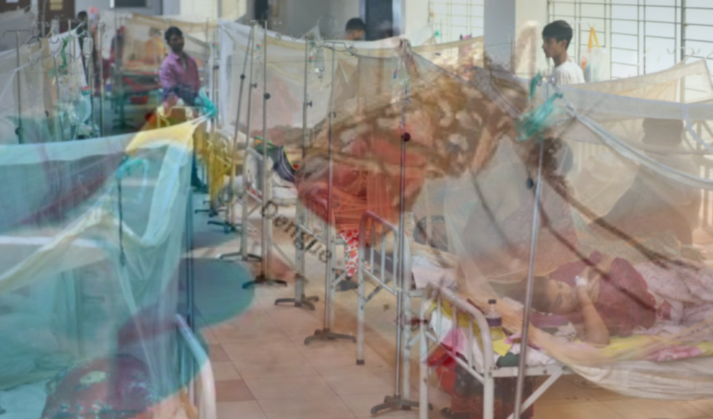 six more die from dengue as 647 patients admitted to hospitals Six More Die from Dengue as 647 Patients Admitted to Hospitals