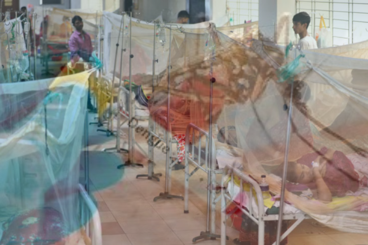 Six More Die from Dengue as 647 Patients Admitted to Hospitals