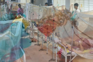 Six More Die from Dengue as 647 Patients Admitted to Hospitals