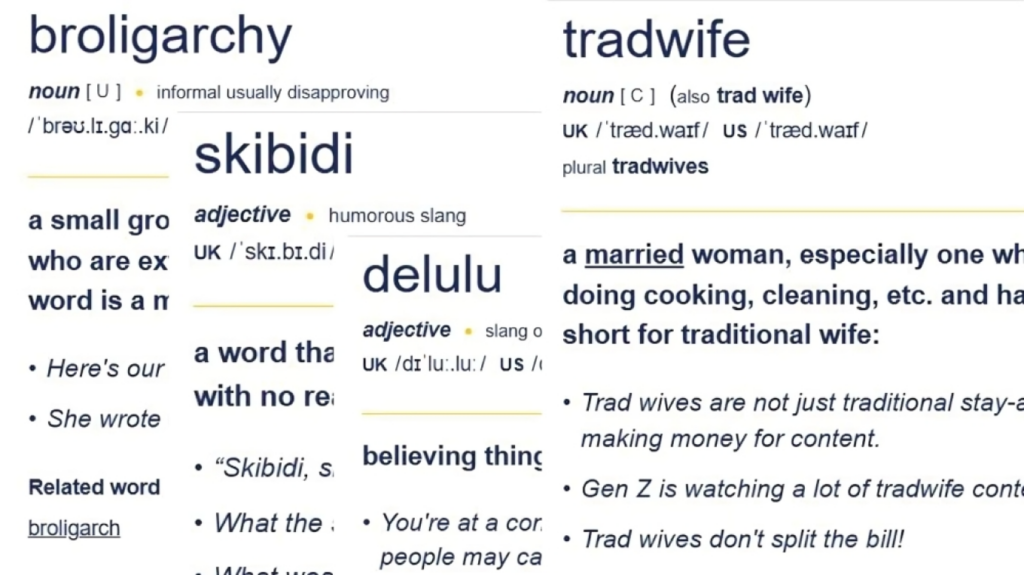 skibidi and tradwife social media words added to cambridge dictionary ‘Skibidi’ and ‘Tradwife’: Social Media Words Added to Cambridge Dictionary