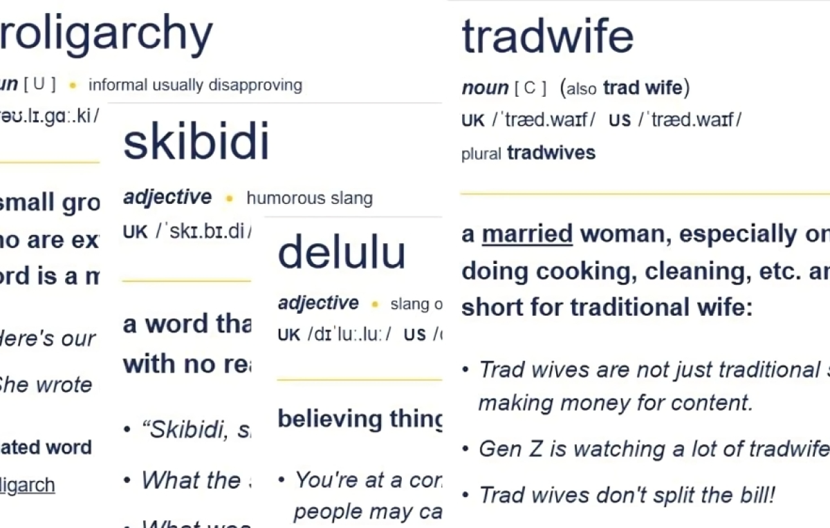 ‘Skibidi’ and ‘Tradwife’: Social Media Words Added to Cambridge Dictionary