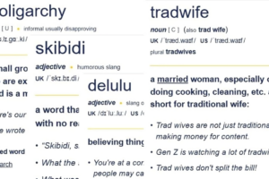 ‘Skibidi’ and ‘Tradwife’: Social Media Words Added to Cambridge Dictionary