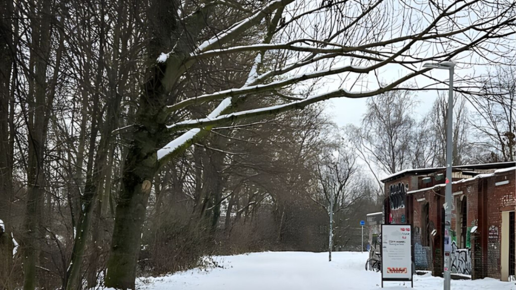 storm elli paralyzes germany with heavy snow and ice Storm "Elli" Paralyzes Germany with Heavy Snow and Ice