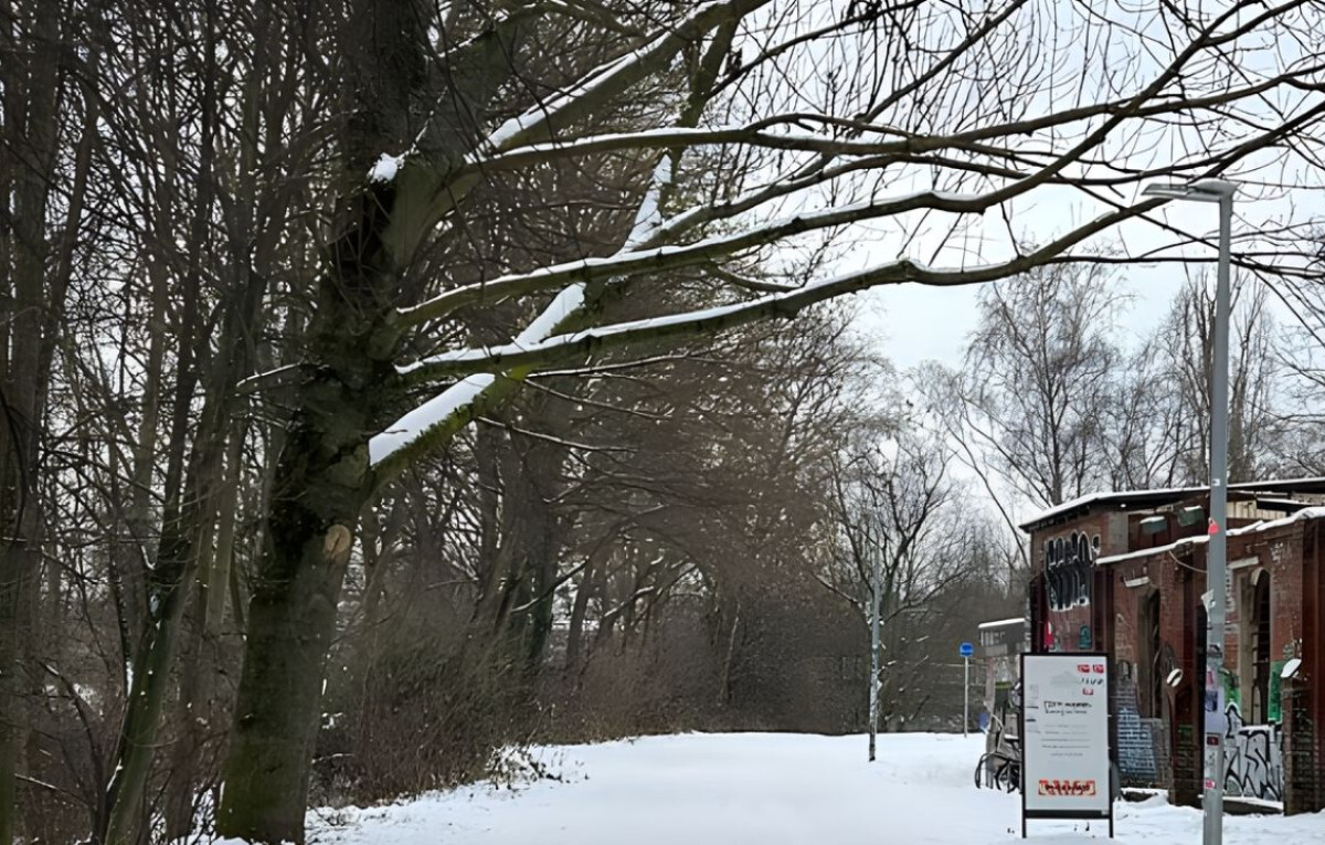 Storm “Elli” Paralyzes Germany with Heavy Snow and Ice
