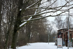 Storm “Elli” Paralyzes Germany with Heavy Snow and Ice