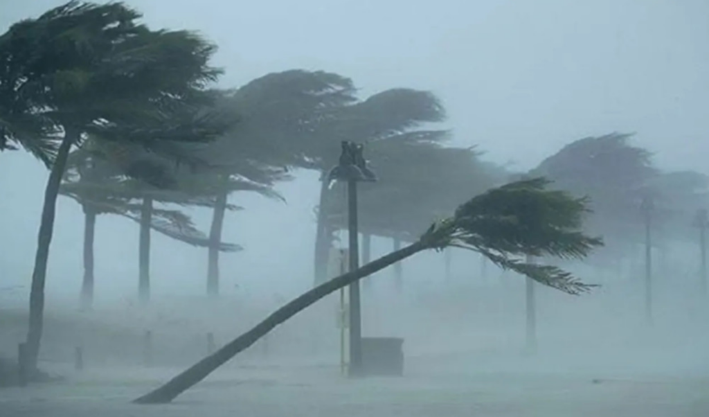 storm forecast winds may reach 60 kmh Storm Forecast: Winds May Reach 60 km/h