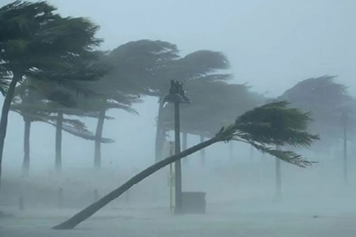 Storm Forecast: Winds May Reach 60 km/h