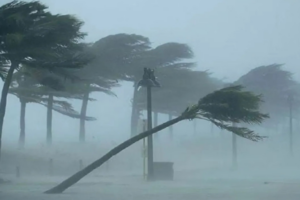 Storm Forecast: Winds May Reach 60 km/h