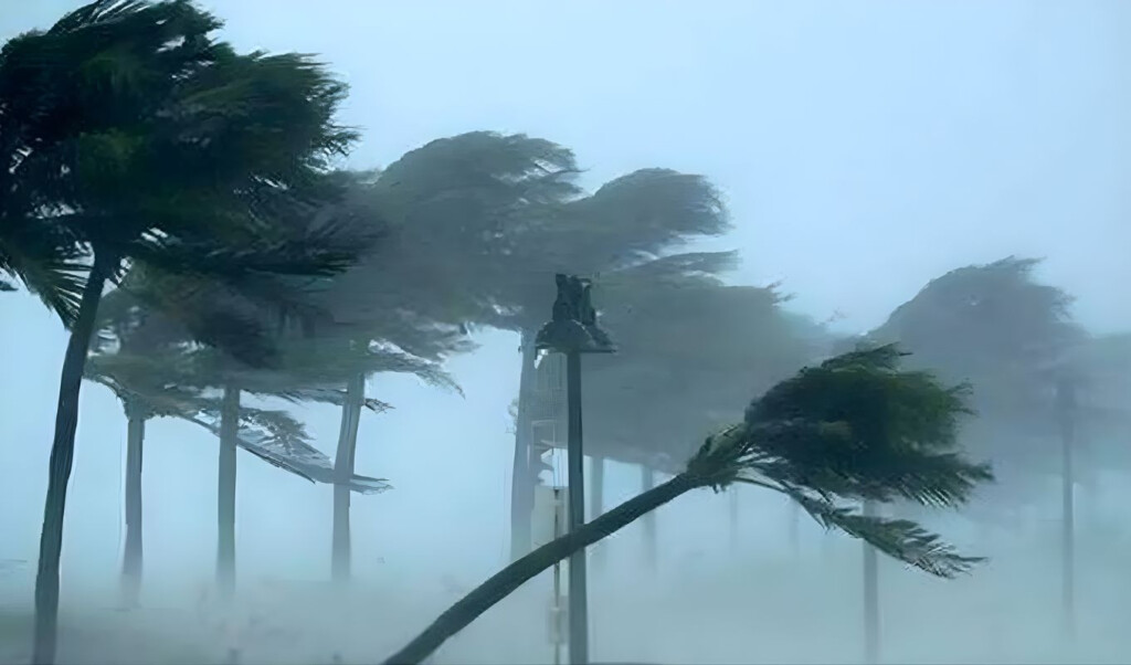 storm warning winds up to 80 kmh expected Storm Warning: Winds Up to 80 km/h Expected