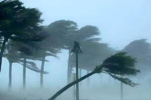 Storm Warning: Winds Up to 80 km/h Expected