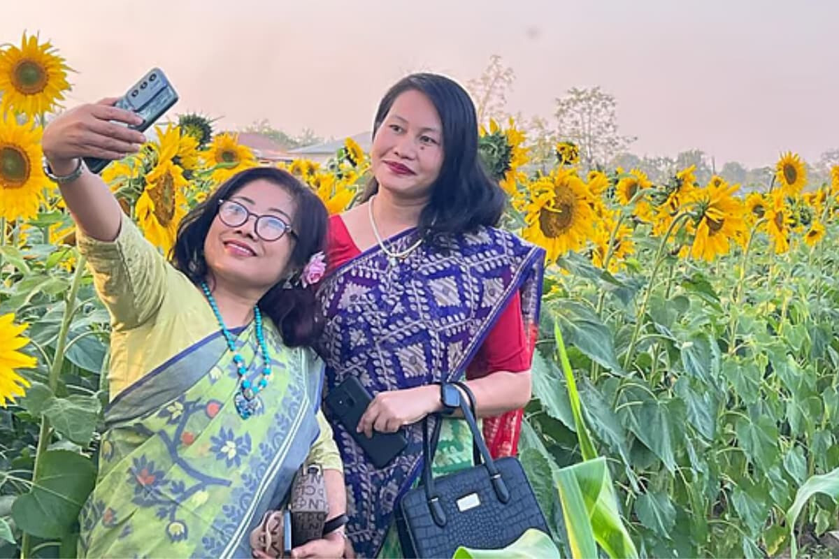 Sunflower Gardens Along the River Boost Local Income