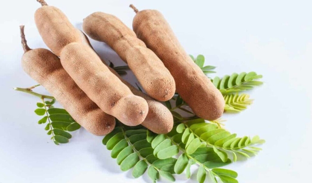 tamarind taste with health benefits Tamarind: Taste with Health Benefits