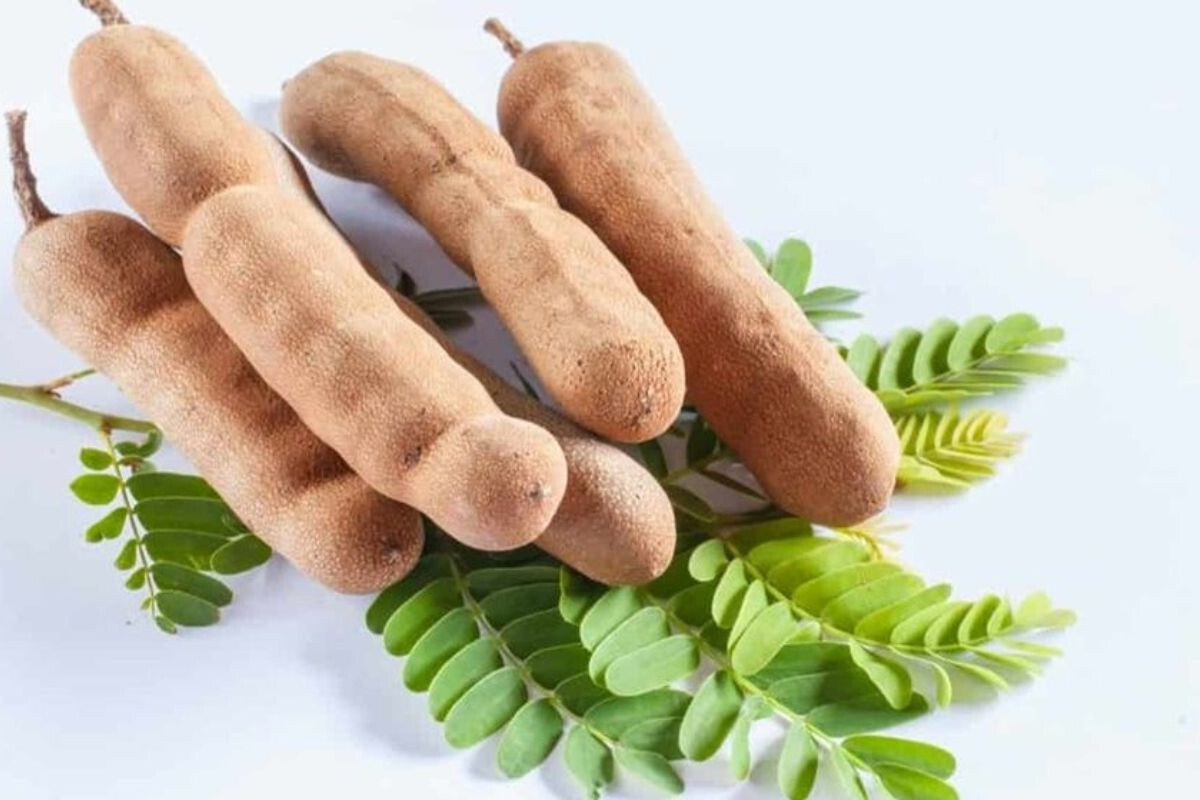 Tamarind: Taste with Health Benefits