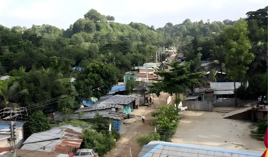 the hidden land within bangladesh jungle salimpur The hidden land within Bangladesh: Jungle Salimpur