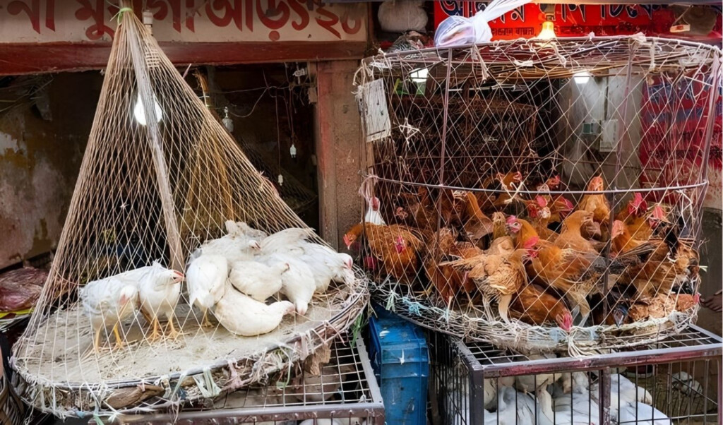 the prices of fish meat and eggs everything has gone up The prices of fish, meat, and eggs — everything has gone up.