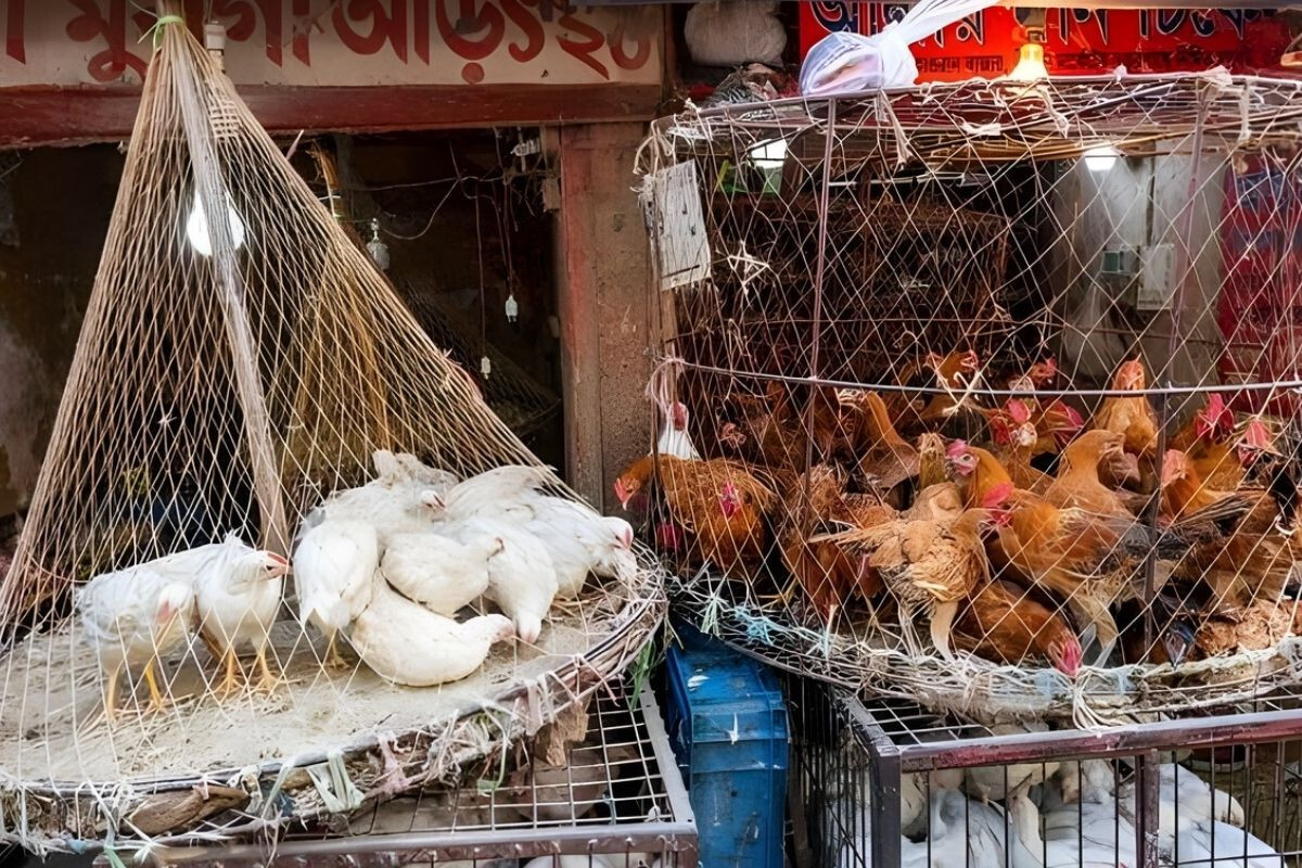 The prices of fish, meat, and eggs — everything has gone up.