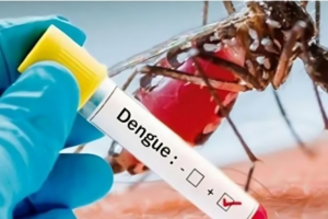 Three More Deaths from Dengue, 473 Hospitalised in 24 Hours
