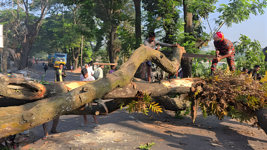 tree blockade on dhaka barisal highway in madaripur lifted after four hours Tree Blockade on Dhaka-Barisal Highway in Madaripur Lifted After Four Hours
