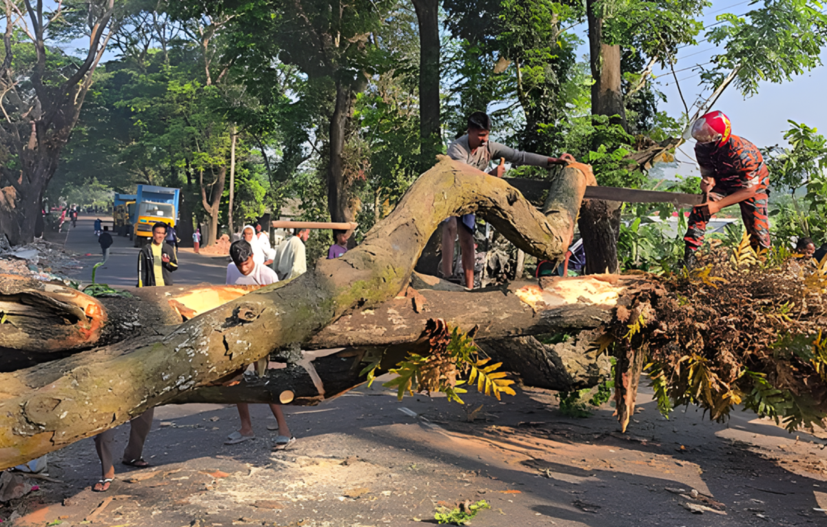Tree Blockade on Dhaka-Barisal Highway in Madaripur Lifted After Four Hours