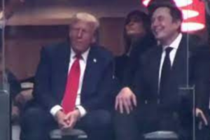 Trump and Musk Sit Side-by-Side Months After Public Split