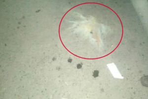 Two Consecutive Cocktail Explosions Near Dhaka Airport