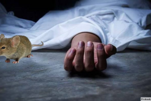 Two Die After Mistakenly Rat Poison Tablets in Jamalpur