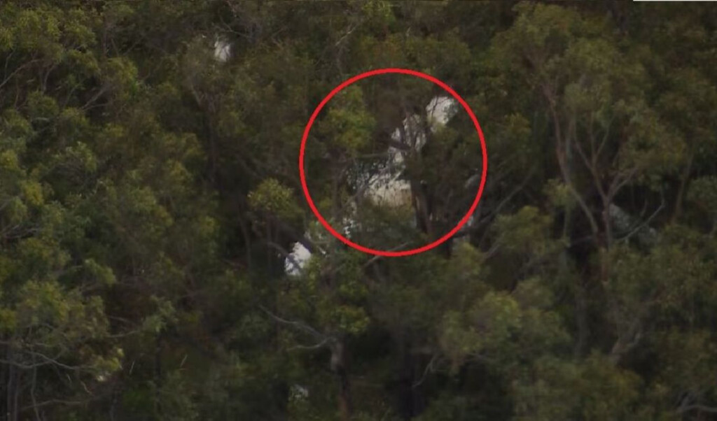 two light aircraft collide over sydney one pilot killed Two Light Aircraft Collide Over Sydney, One Pilot Killed