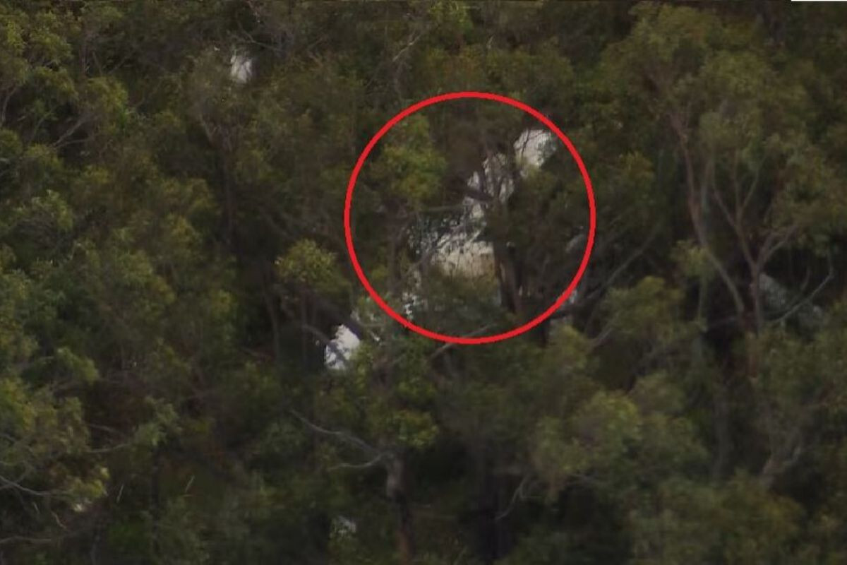 Two Light Aircraft Collide Over Sydney, One Pilot Killed