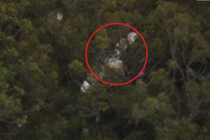 Two Light Aircraft Collide Over Sydney, One Pilot Killed