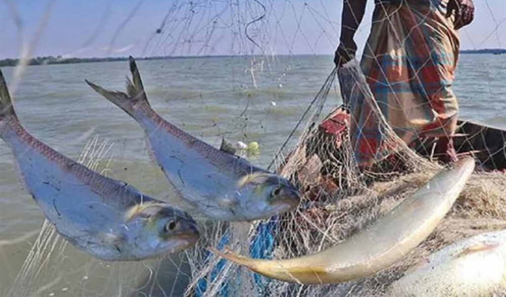 two month fishing ban enforced on padma and meghna Two-Month Fishing Ban Enforced on Padma and Meghna