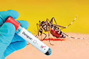 Two More Dengue Deaths Reported, 565 Admitted to Hospital