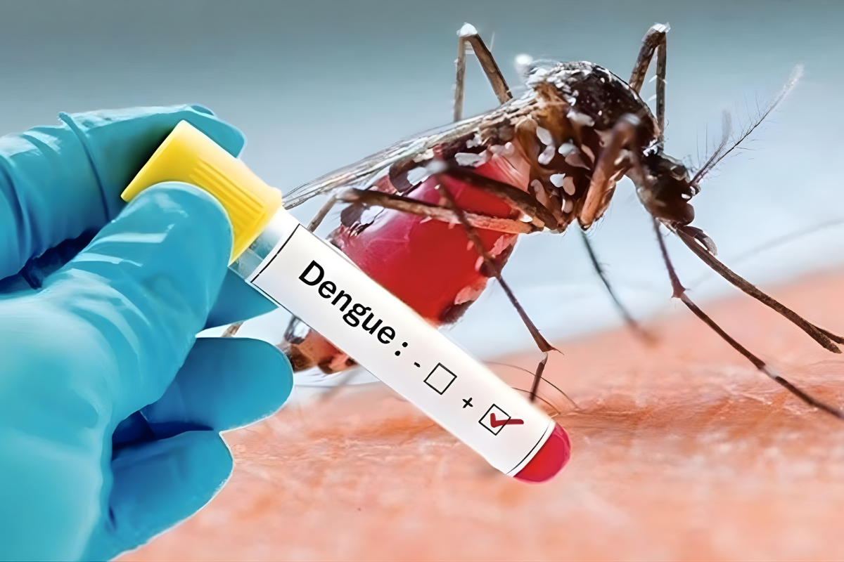 Two More Die from Dengue, 1,179 Hospitalised