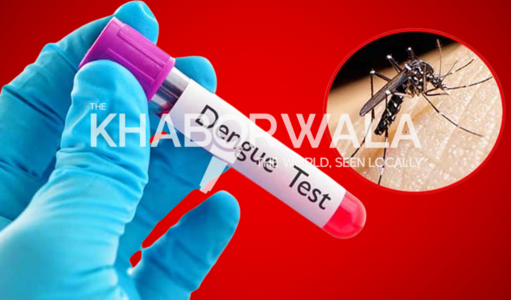 two more die from dengue 610 admitted to hospitals Two more die from dengue; 610 admitted to hospitals