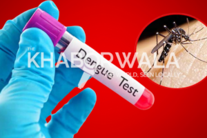 Two more die from dengue; 610 admitted to hospitals