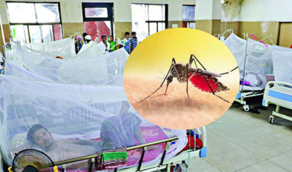two more die from dengue 705 admitted to hospitals Two More Die from Dengue, 705 Admitted to Hospitals