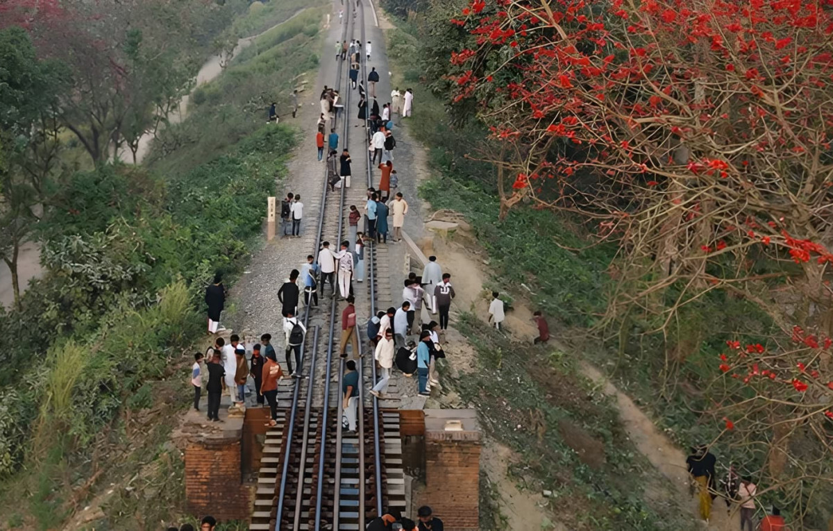 Two Youths Killed Admiring Blooming Shimul Trees