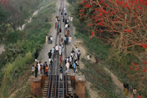 Two Youths Killed Admiring Blooming Shimul Trees