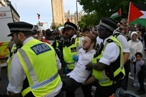 UK Police Arrest Hundreds in Latest Palestine Action Demonstration