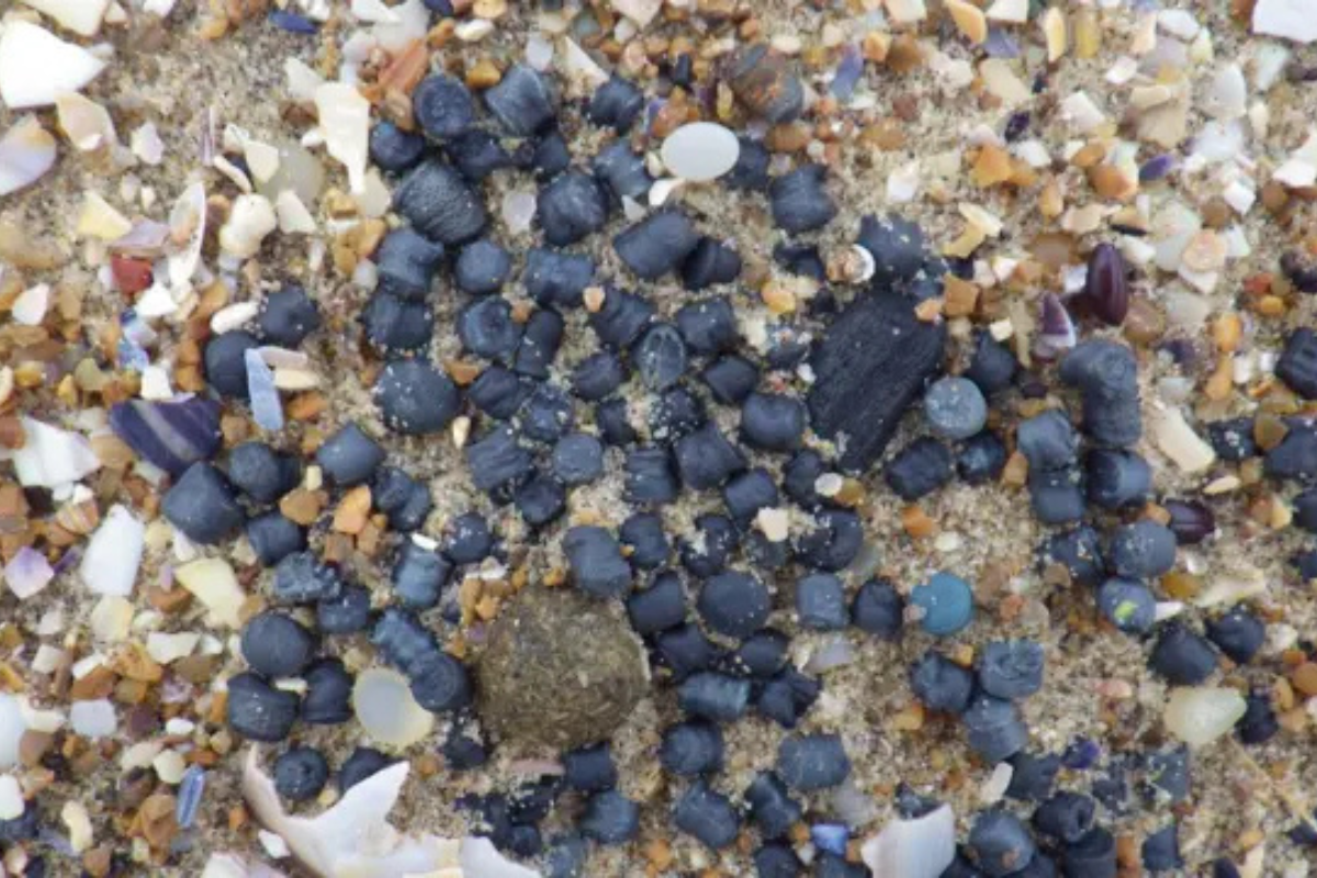 UK Water Firm Admits Responsibility for Plastic Pellet Pollution