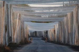 Ukraine to Build 4,000km Drone Shield to Counter Russia