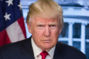 US Pressures UN Security Council to Adopt Trump’s Gaza Peace Plan