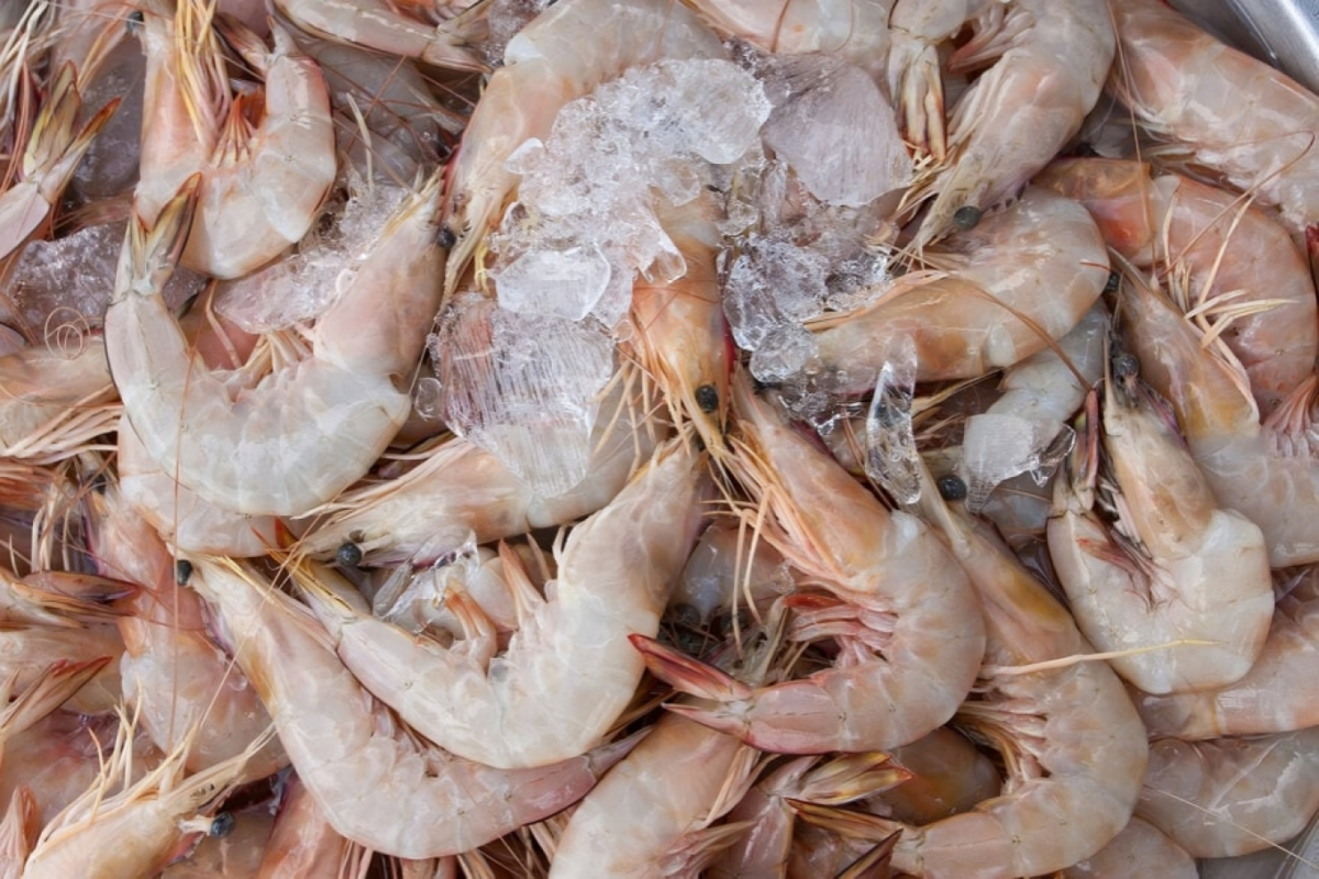 US Recalls Frozen Shrimp Over Potential Radioactivity Concerns