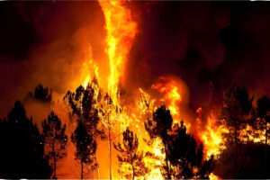 Victoria Bushfires Inflict US$559 Million Insured Loss