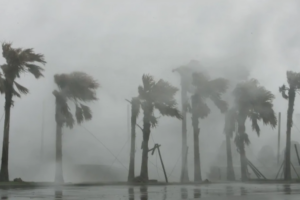 Vietnam to Evacuate 300,000 as Typhoon Kajiki Nears