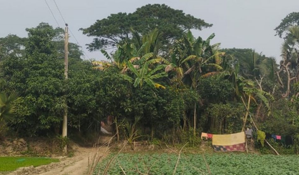 village of one house holds 43 residents 24 voters Village of One House Holds 43 Residents, 24 Voters