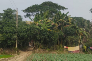 Village of One House Holds 43 Residents, 24 Voters