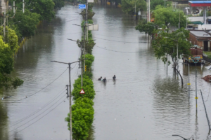 Villages Cut Off After Devastating Floods in Punjab, India