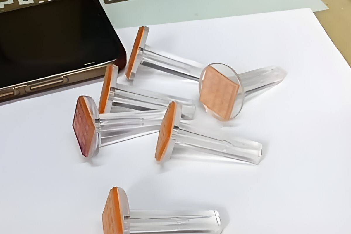 Vote Seal Scandal in Lakshmipur: Case Filed Against Two, Including Jamaat Leader