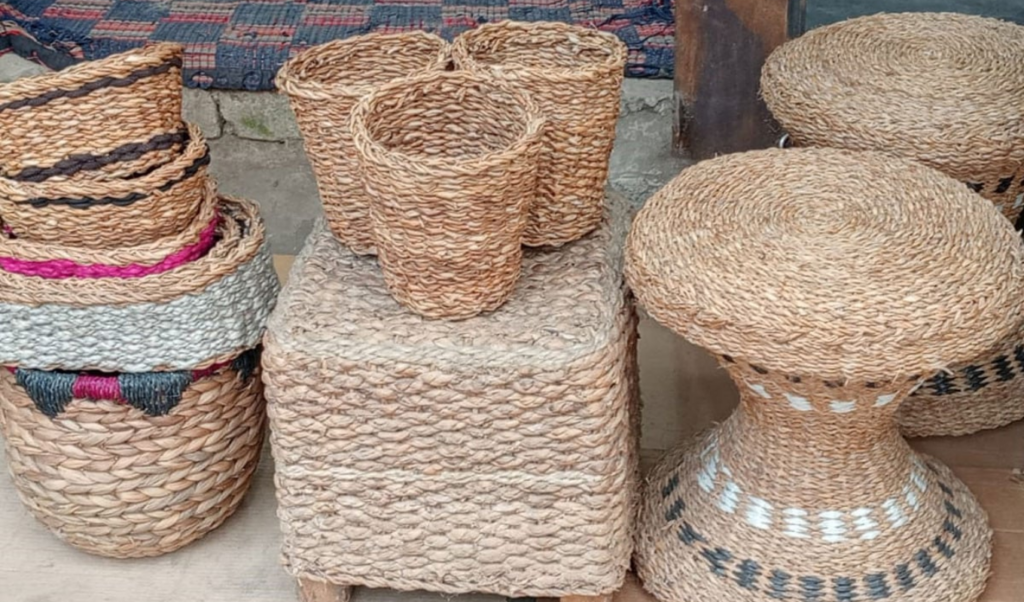 water hyacinth emerges as income resource Water Hyacinth Emerges as Income Resource